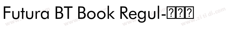 Futura BT Book Regul字体转换